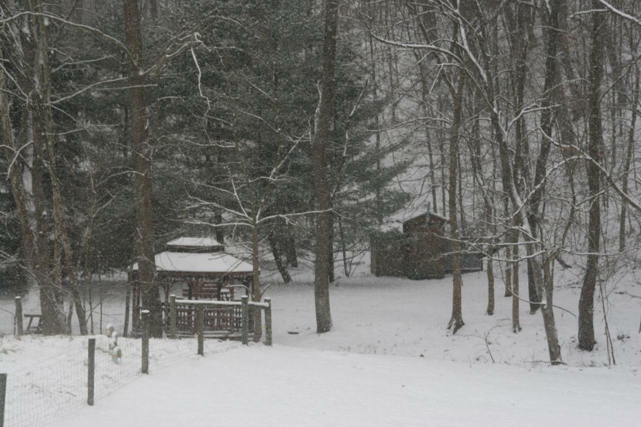 The Barn Inn Bed And Breakfast Millersburg Esterno foto